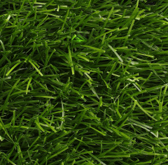 CCGrass Sense Eco 60-14_5117227